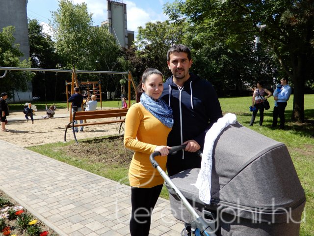 Életfát ültettünk 50